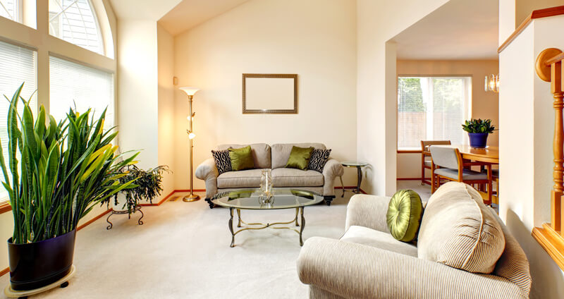 Consistent colour palettes For Cohesive Look for Home