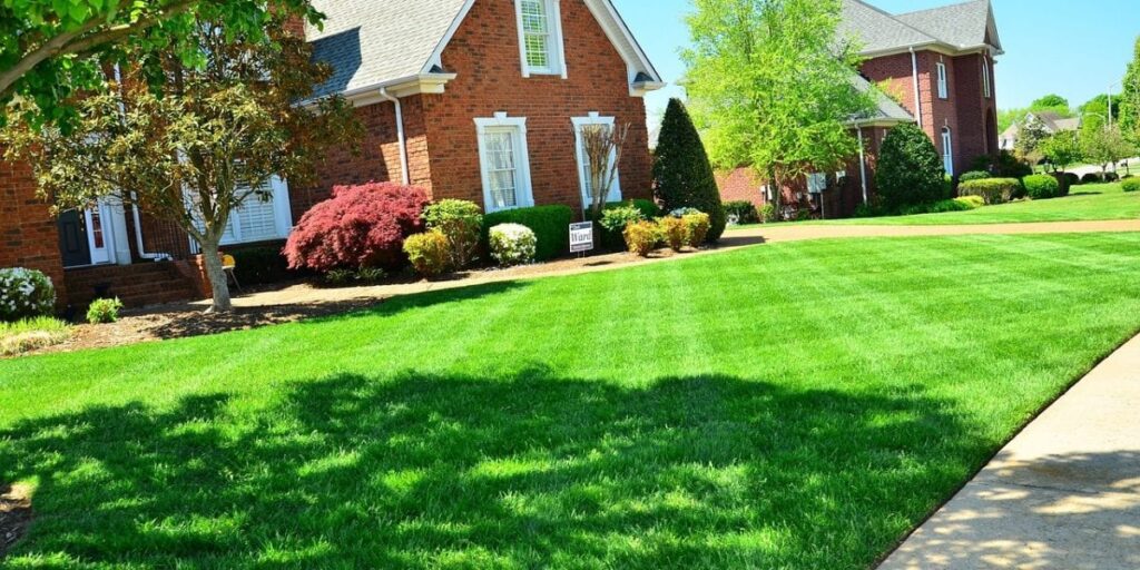Organic Lawn Care Methods