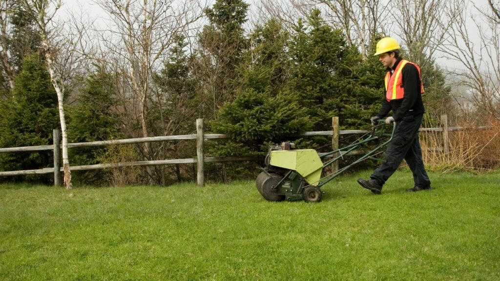 Organic Lawn Care Methods
