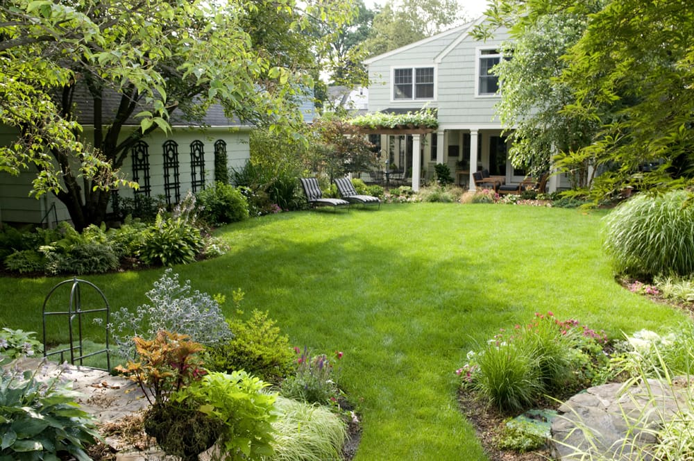 Organic Lawn Care Methods
