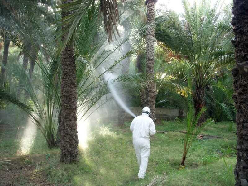 Rodent Control in Agriculture